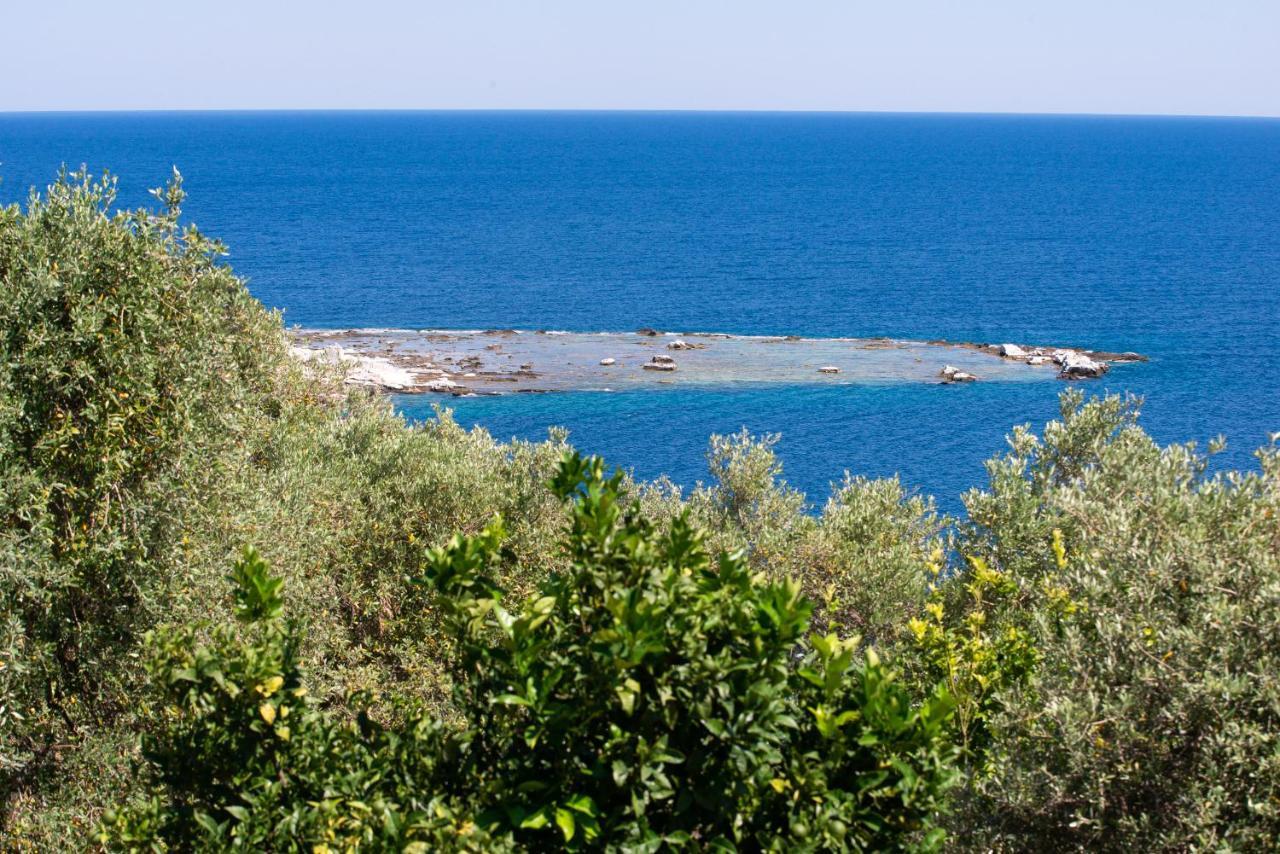 Archodissa Villa Thimonia Exterior photo
